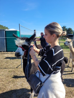 3-recura-akademie-teamtag-pflegeschule