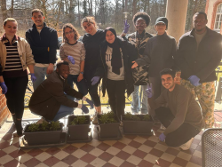 Ein kleines Pflänzchen. Eine große Botschaft.