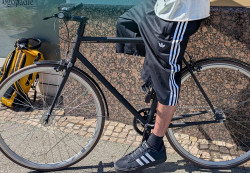 Sicher unterwegs: Tipps zum Internationalen Tag des Fahrrads